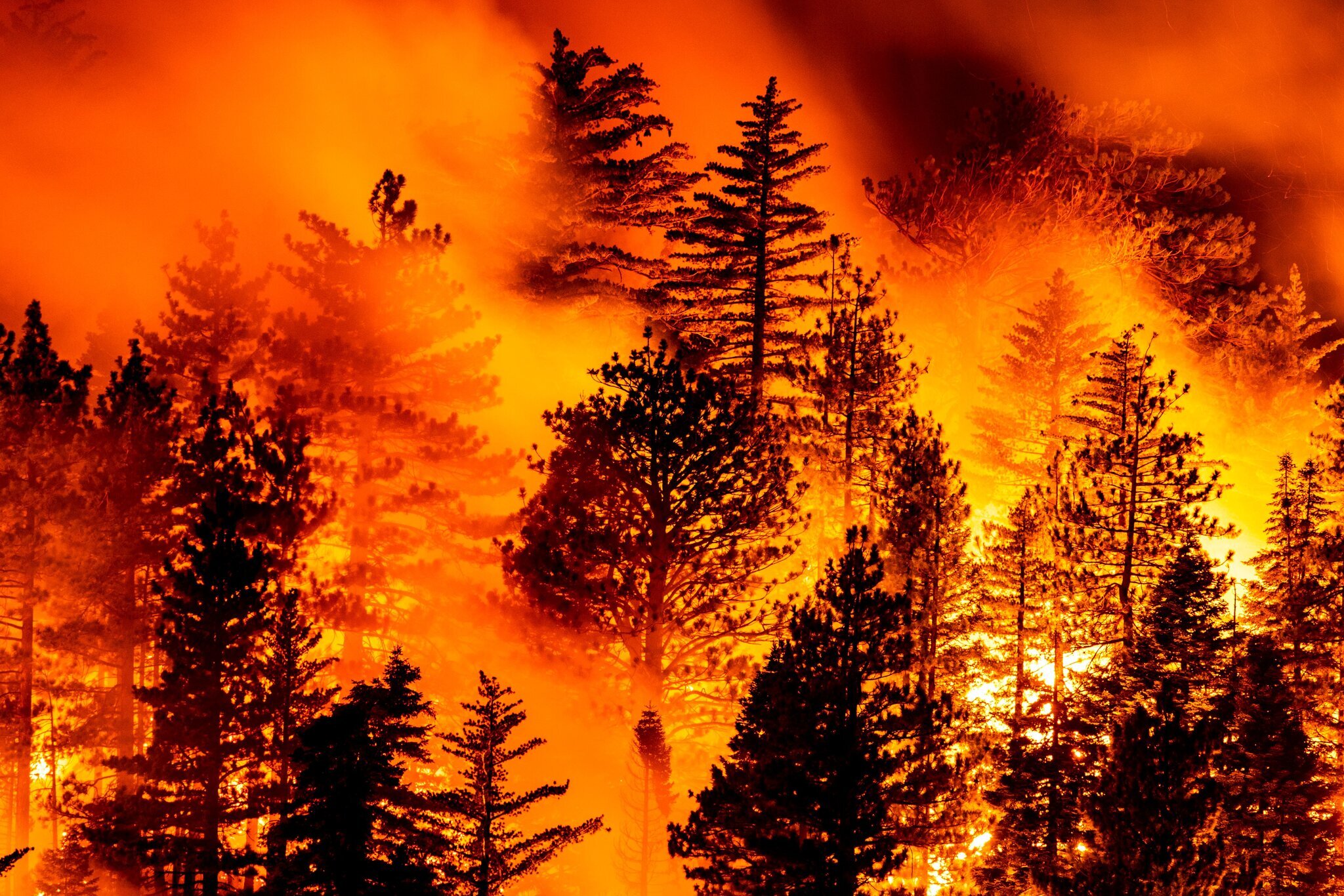 Image of Grand Mother Earth  article